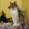 Отзыв от Галя Панкова